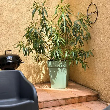 Techaze Au Coeur D'arras, Centre Ville, Gare, Terrasse Apartment *